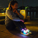 Load image into Gallery viewer, LED Shoelaces
